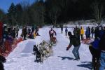 Sports-Dogsled 75-22-00082