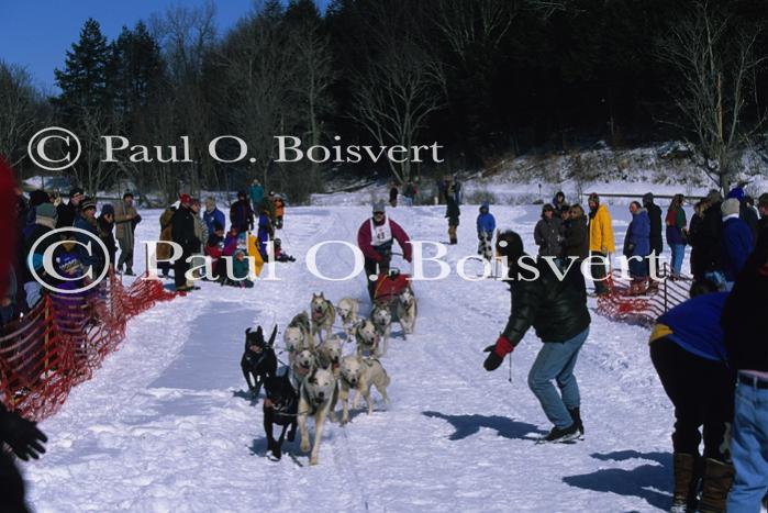 Sports-Dogsled 75-22-00082