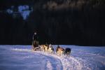 Sports-Dogsled 75-22-00202