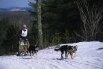 Sports-Dogsled 75-22-00263