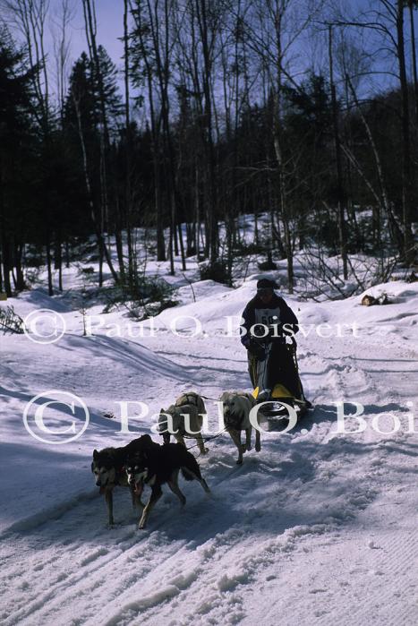 Sports-Dogsled 75-22-00266