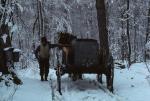 Maple Sugaring 30-20-00050