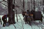 Maple Sugaring 30-20-00056