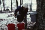 Maple Sugaring 30-20-00083