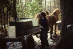 Maple Sugaring 30-20-00158