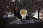 Maple Sugaring 30-20-00179