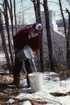 Maple Sugaring 30-20-00417