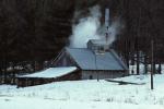 Maple Sugaring 30-20-00457