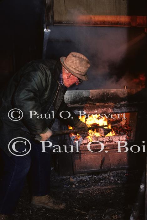 Maple Sugaring 30-20-00508