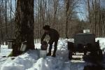 Maple Sugaring 30-20-00600