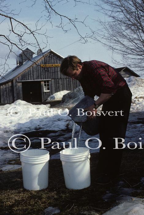 Maple Sugaring 30-20-00651