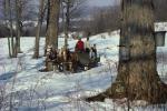 Maple Sugaring 30-20-00701