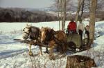 Maple Sugaring 30-20-00702