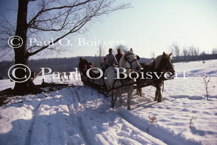 Maple Sugaring 30-20-00727