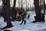 Maple Sugaring 30-20-00746