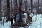 Maple Sugaring 30-20-00762