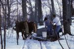 Maple Sugaring 30-20-00765