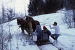 Maple Sugaring 30-20-00767