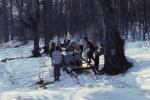 Maple Sugaring 30-20-00771