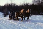 Maple Sugaring 30-20-00811