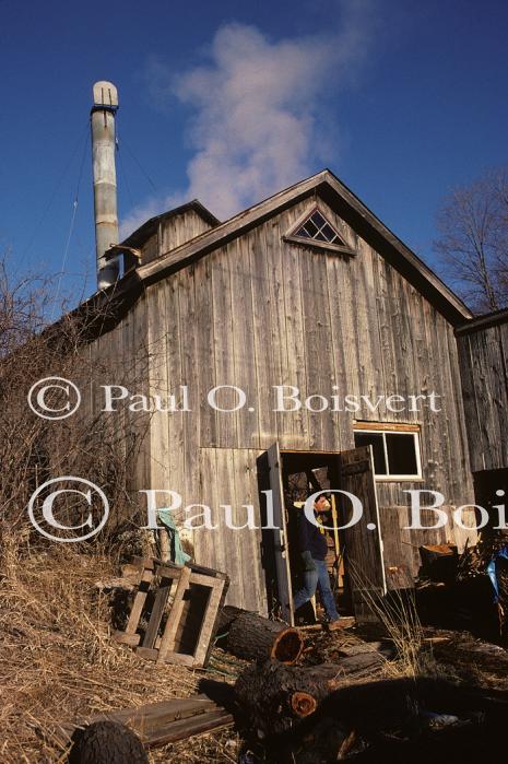 Maple Sugaring 30-20-01050