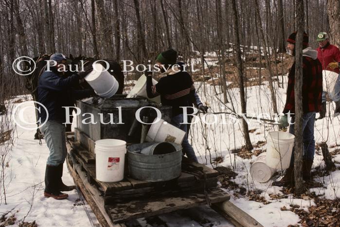 Maple Sugaring 30-20-01144