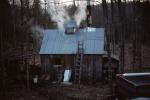 Maple Sugaring 30-20-01201