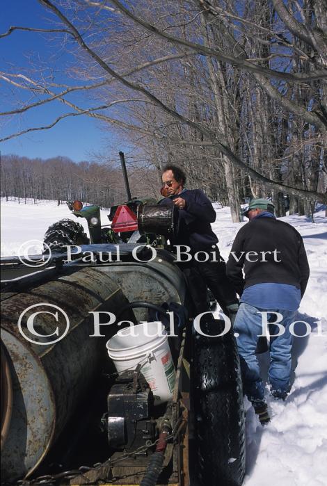 Maple Sugaring 30-20-10606