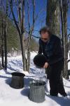 Maple Sugaring 30-20-10614