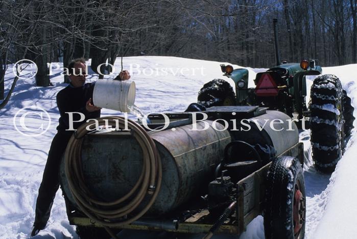 Maple Sugaring 30-20-10617