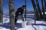 Maple Sugaring 30-20-10647