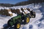 Maple Sugaring 30-20-10686