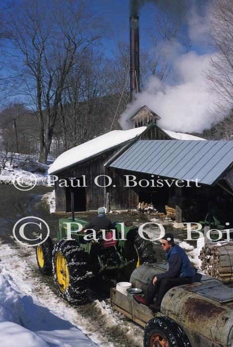 Maple Sugaring 30-20-10687