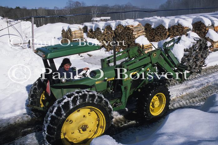 Maple Sugaring 30-20-10695