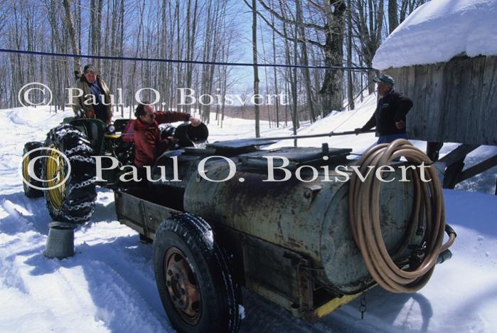 Maple Sugaring 30-20-10991