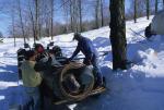 Maple Sugaring 30-20-11022