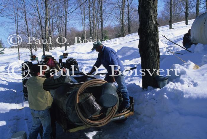 Maple Sugaring 30-20-11022