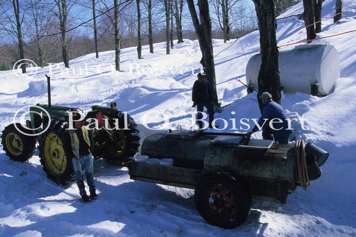 Maple Sugaring 30-20-11026