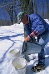 Maple Sugaring 30-20-11050