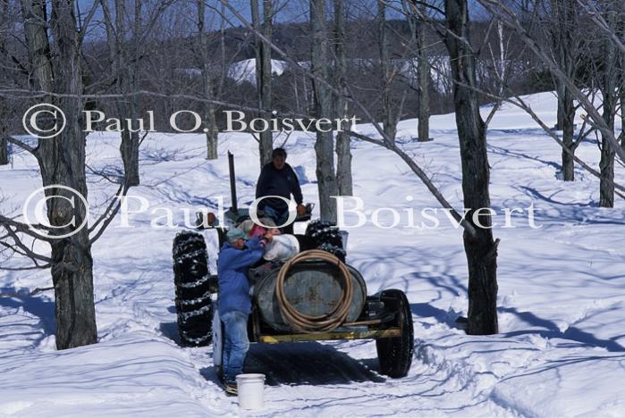 Maple Sugaring 30-20-11074