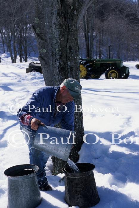 Maple Sugaring 30-20-11082