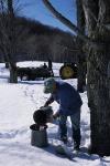 Maple Sugaring 30-20-11083