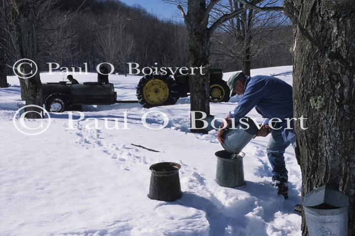 Maple Sugaring 30-20-11087