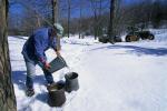 Maple Sugaring 30-20-11095