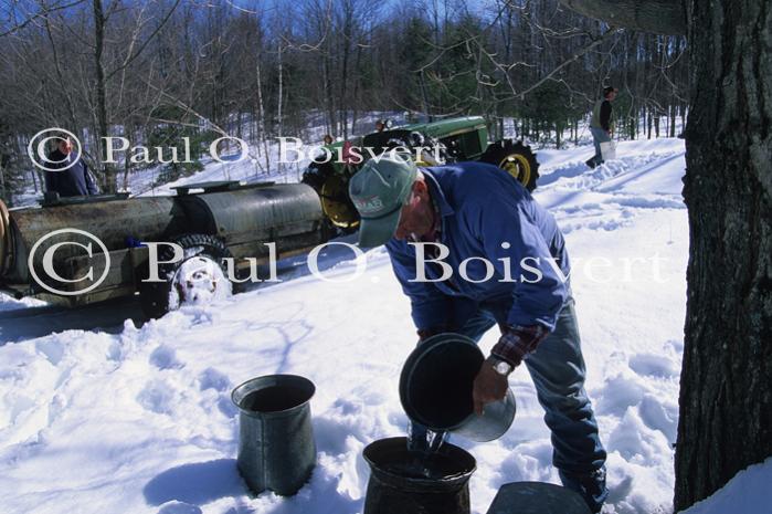 Maple Sugaring 30-20-11097