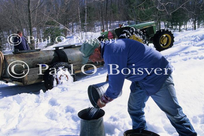 Maple Sugaring 30-20-11099