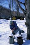 Maple Sugaring 30-20-11113