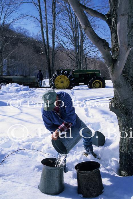 Maple Sugaring 30-20-11113