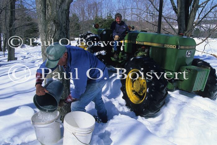 Maple Sugaring 30-20-11117