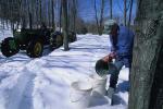 Maple Sugaring 30-20-11120